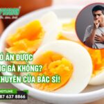 Ho có ăn được trứng gà không? - Lời khuyên của Bác sĩ! - 3T Pharma