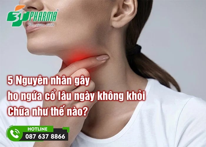 5 Nguyên nhân gây ho ngứa cổ lâu ngày không khỏi - Chữa như thế nào? - 3T Pharma