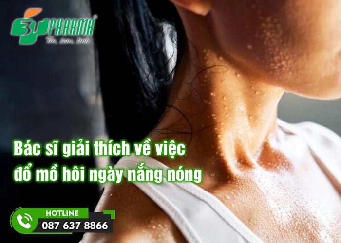 Bác sĩ giải thích về việc đổ mồ hôi ngày nắng nóng - tin sức khoẻ - 3T Pharma