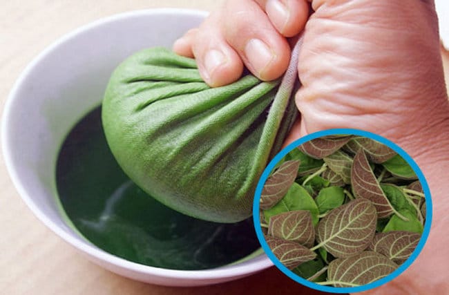 ho lau ngay su dung la mo